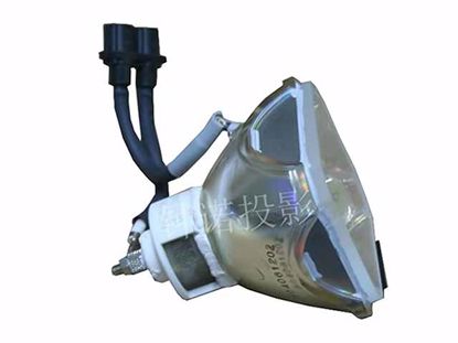 DT00601, Lamp without Housing