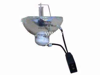 ELPLP42, Lamp without Housing