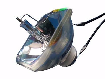 ELPLP50, Lamp without Housing