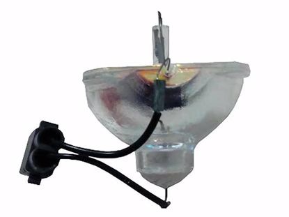 ELPLP53, V13H010L53, Lamp with Housing