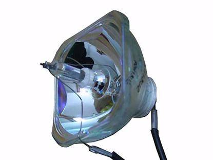 V13H010L38, Lamp without Housing