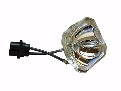 V13H010L53, Lamp with Housing