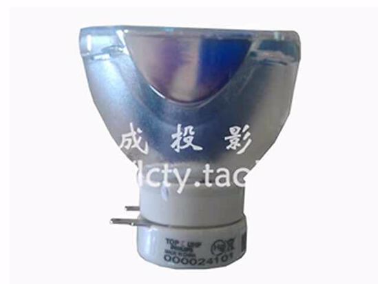 DT01021, Lamp without Housing