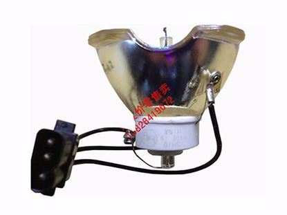 DT00873, Lamp without Housing