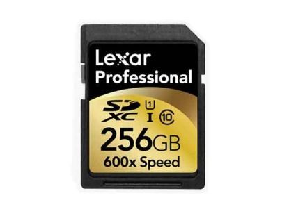 SDXC256GB, Professional