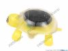 Light Yellow, Hungry Tortoise
