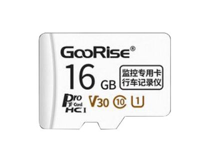 Picture of GooRise Memory Card-microSDHC 100MB/s