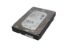 Picture of Seagate ST2000NM0055 HDD 3.5" SATA 1TB - 3TB ST2000NM0055, 1V4104-002