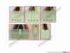 168626 EMACS / Zippy MPW-6200F Server - Power Supply MPW-6200F, 2000150162, 200W EMACS / Zippy MPW-6200F Server - Power Supply